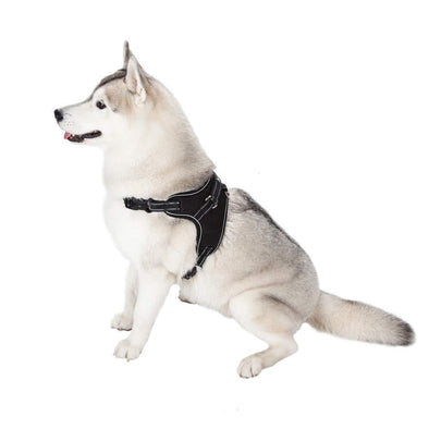 Pup Walk™️- All-In-One Dog Harness