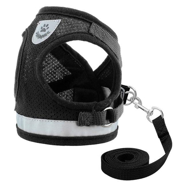 Dog Harness